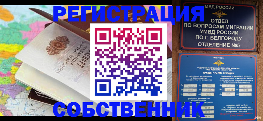 временная регистрация гарантия в Можайске